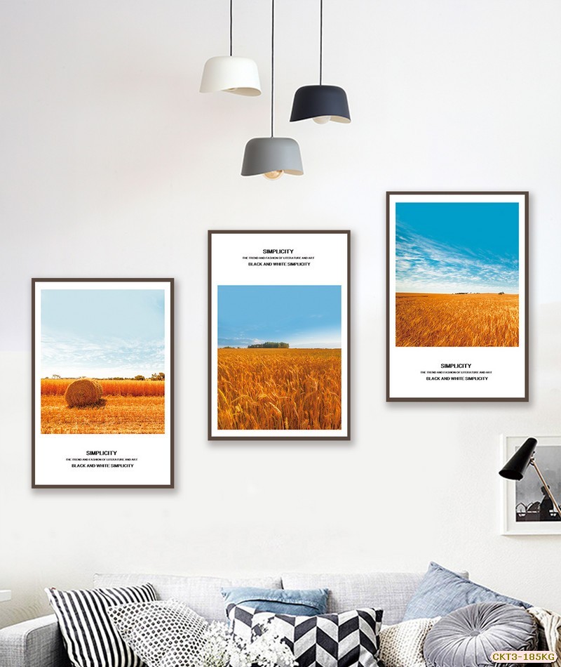 Cánh đồng lúa mì CKT3-185KG